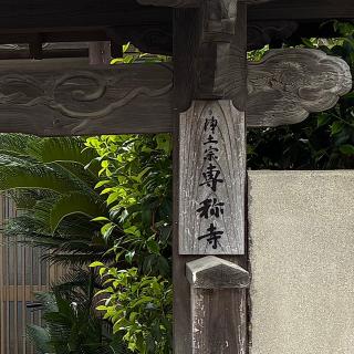 専称寺の参拝記録(ワヲンさん)
