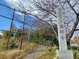 薬師寺の参拝記録(銀玉鉄砲さん)