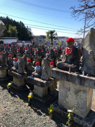 大応寺の参拝記録(はじめさん)