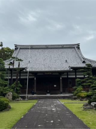 花井寺の参拝記録(チップさん)