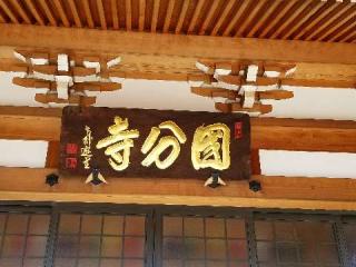 国分寺の参拝記録(銀玉鉄砲さん)