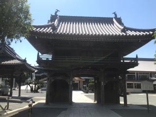 円福山 豊川閣 妙厳寺（豊川稲荷）の参拝記録(さくらまんじゅうさん)