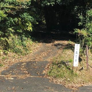 長慶寺の参拝記録(ワヲンさん)