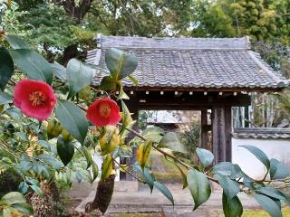 性源寺の参拝記録(銀玉鉄砲さん)