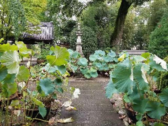 愛知県豊田市寺部町4-31 隨應院の写真4