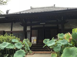 隨應院の参拝記録(まついちさん)