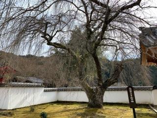 本松山 高月院 寂静寺の参拝記録(くーさん)