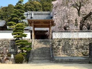 本松山 高月院 寂静寺の参拝記録(ぴよひこさん)