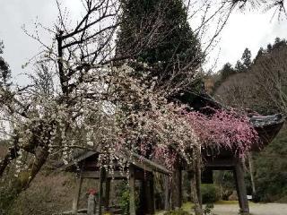 大鷲院の参拝記録(銀玉鉄砲さん)