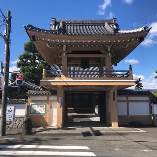 満徳寺の参拝記録(ワヲンさん)