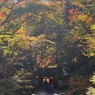 香積寺の参拝記録(ワヲンさん)