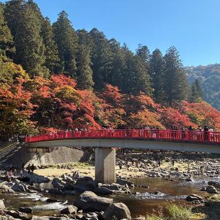 香積寺の参拝記録(ワヲンさん)