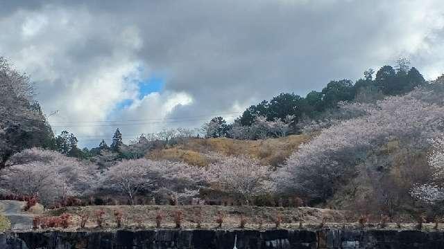 愛知県豊田市大坂町168 松月寺 (小原稲荷)の写真4