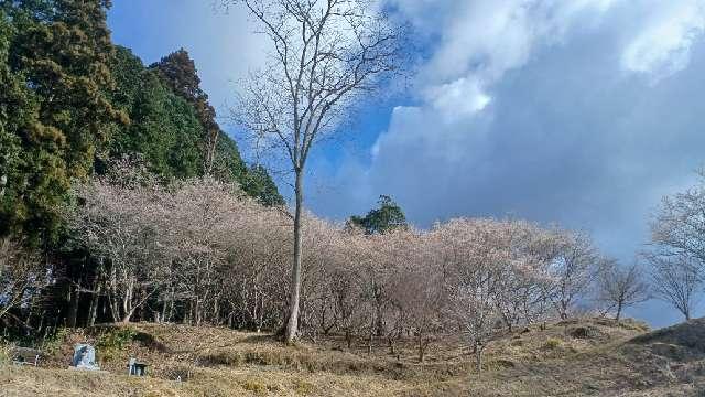 松月寺 (小原稲荷)の参拝記録5