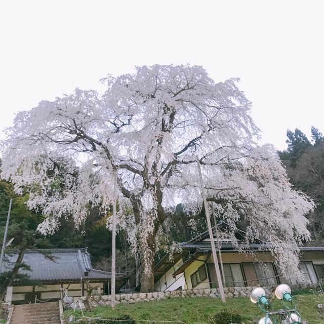 大安寺の参拝記録3