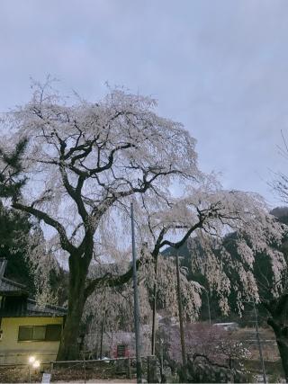 大安寺の参拝記録(まちゃさん)