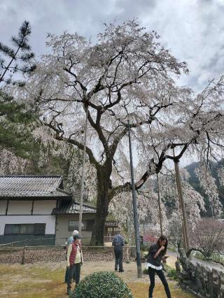 大安寺の参拝記録(totomoさん)