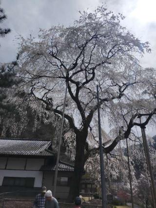 大安寺の参拝記録(mi♡mikaさん)