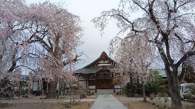 蓮華寺の参拝記録2