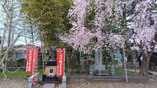 蓮華寺の参拝記録(ひろ神社仏閣さん)