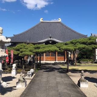 瑞応寺の参拝記録(ワヲンさん)