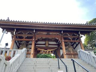 高徳院（こうとくいん）の参拝記録(恭子さん)