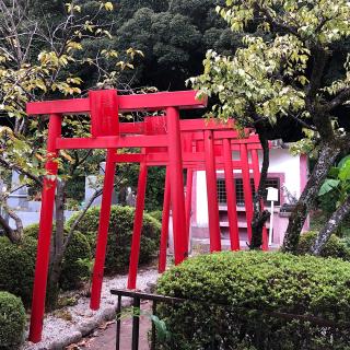 聖應寺の参拝記録(ワヲンさん)