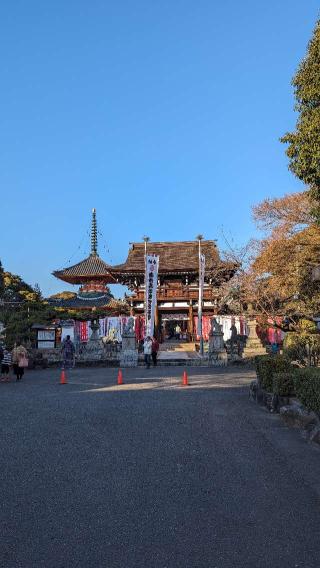 松洞山大行院　龍泉寺（龍泉観音）の参拝記録(えのさんさん)