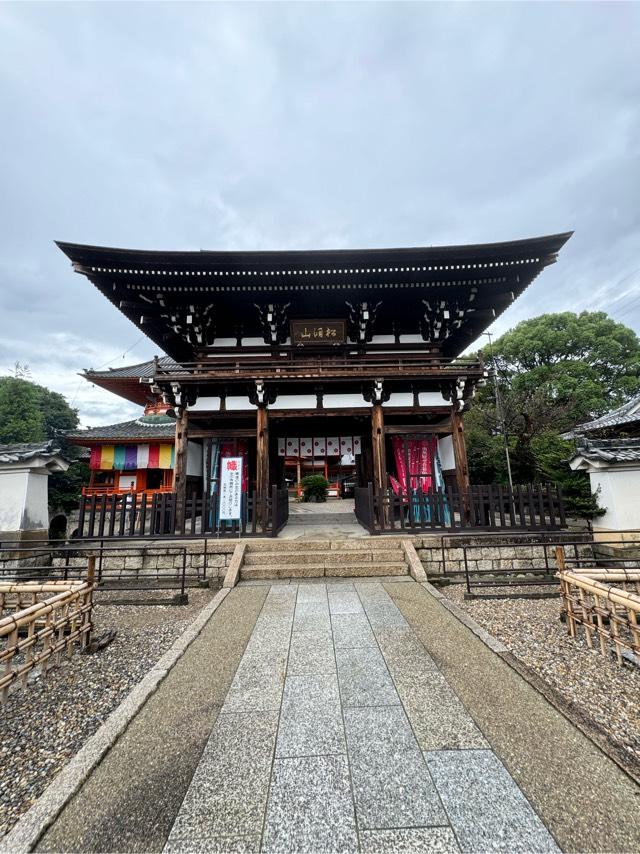 松洞山大行院　龍泉寺（龍泉観音）の参拝記録4
