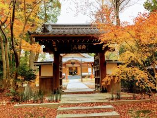 大森寺の参拝記録(くろかわ４１さん)