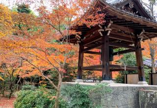 大森寺の参拝記録(くろかわ４１さん)