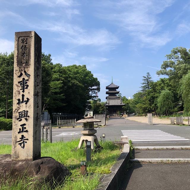 八事山 興正寺の参拝記録10