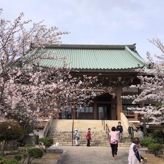 真宗大谷派名古屋別院(東別院)の参拝記録(ワヲンさん)