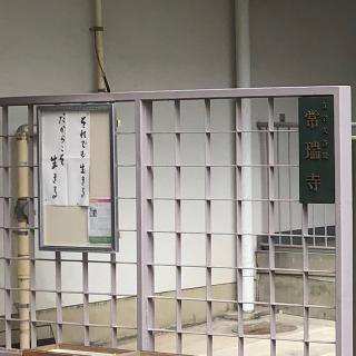 常瑞寺の参拝記録(ワヲンさん)