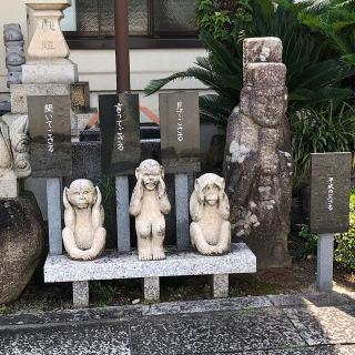 伝昌寺の参拝記録(ワヲンさん)