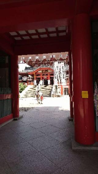 北野山 真福寺 寳生院（大須観音）の参拝記録(ココアラムさん)