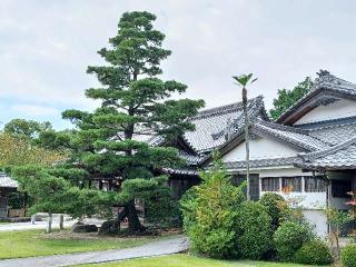 高照寺の参拝記録(銀玉鉄砲さん)