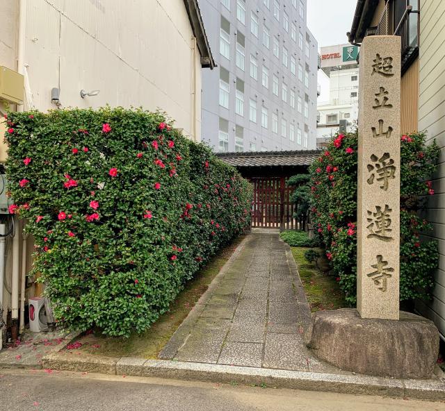 浄蓮寺の参拝記録6