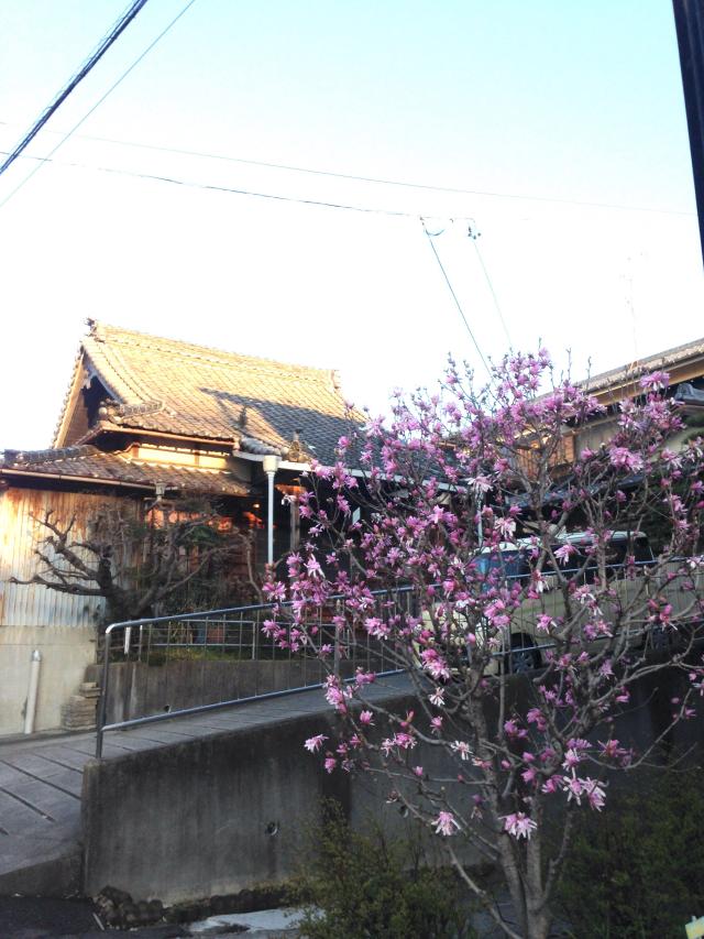 愛知県名古屋市南区白雲町2 法性寺の写真1