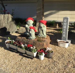 正覚寺の参拝記録(Junjunさん)