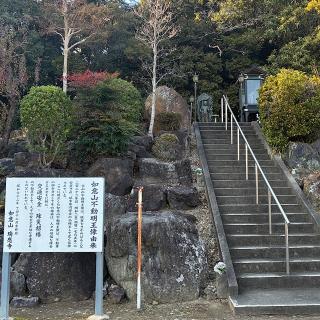 瑞應寺の参拝記録(ワヲンさん)