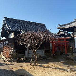 岳桂院の参拝記録(ワヲンさん)