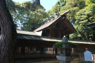 長濱八幡宮の参拝記録(雅さん)