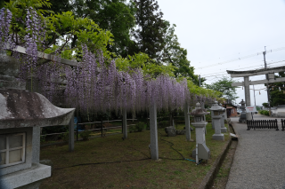 三大神社の参拝記録9