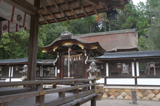 大鳥神社の参拝記録(雅さん)