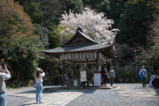 大豊神社の参拝記録(雅さん)
