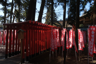 金咲稲荷神社(多賀大社境内)の参拝記録(雅さん)