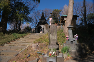 上野パゴダ薬師堂（寛永寺）の参拝記録8