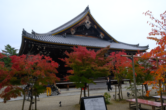 仁和寺 観音堂の参拝記録(雅さん)