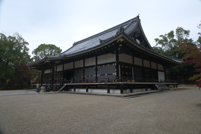 仁和寺 金堂の参拝記録(雅さん)